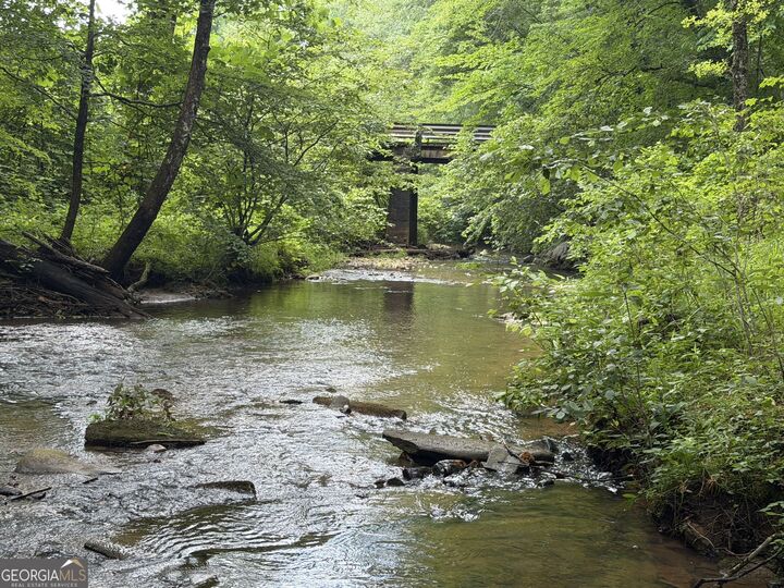 Property Photo: 00 Old Tennessee Road 3 GA 30217