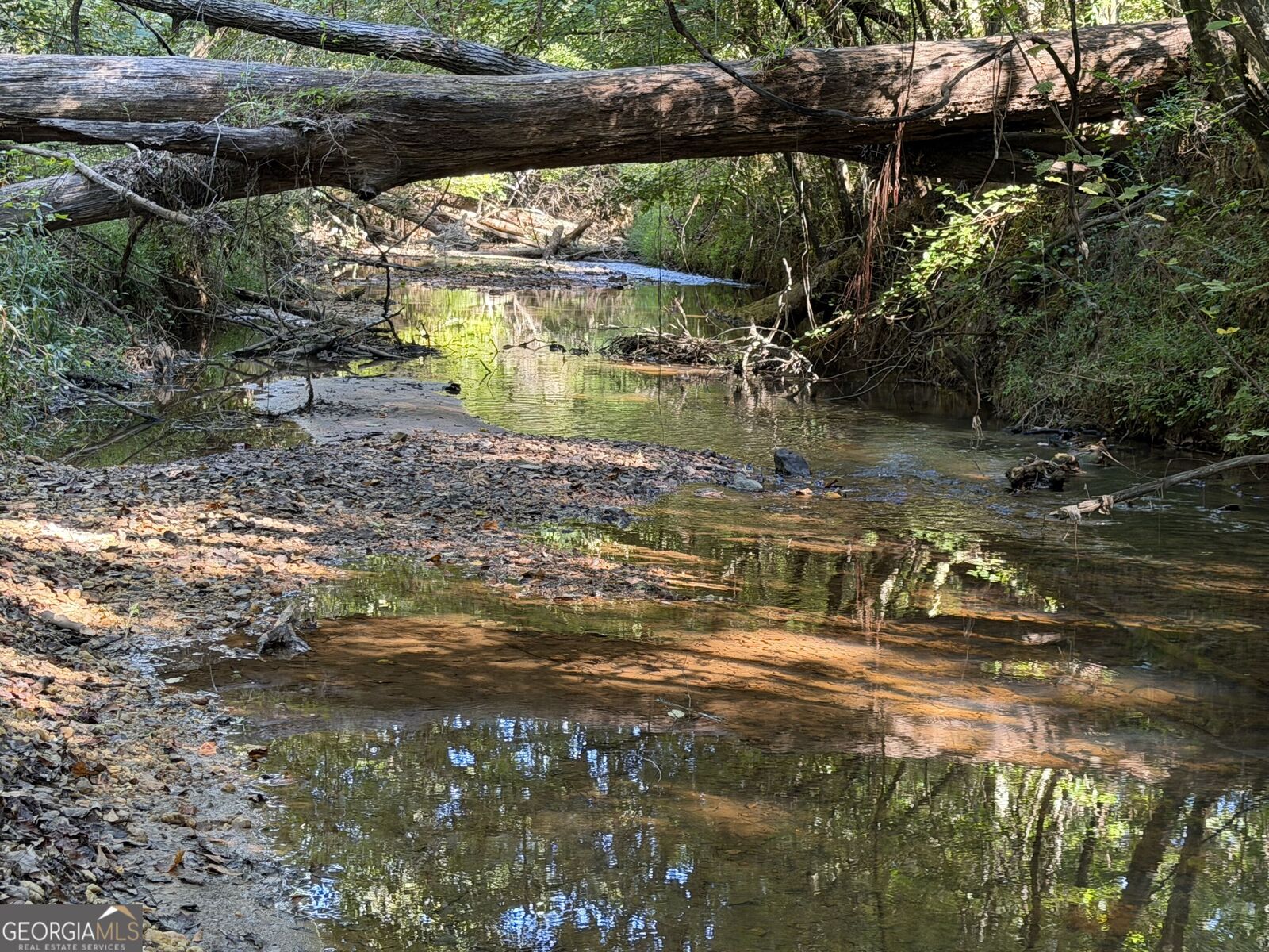 Property Photo:  00 Old Tennessee Road 2  GA 30217 
