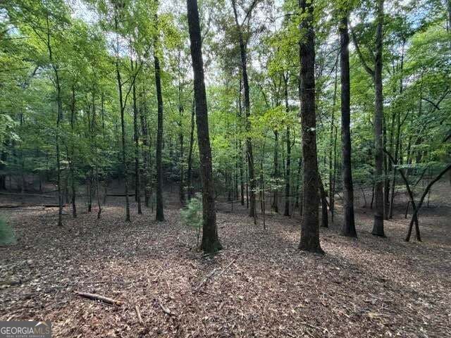 Property Photo: 556 Satsuma Court S GA 30540