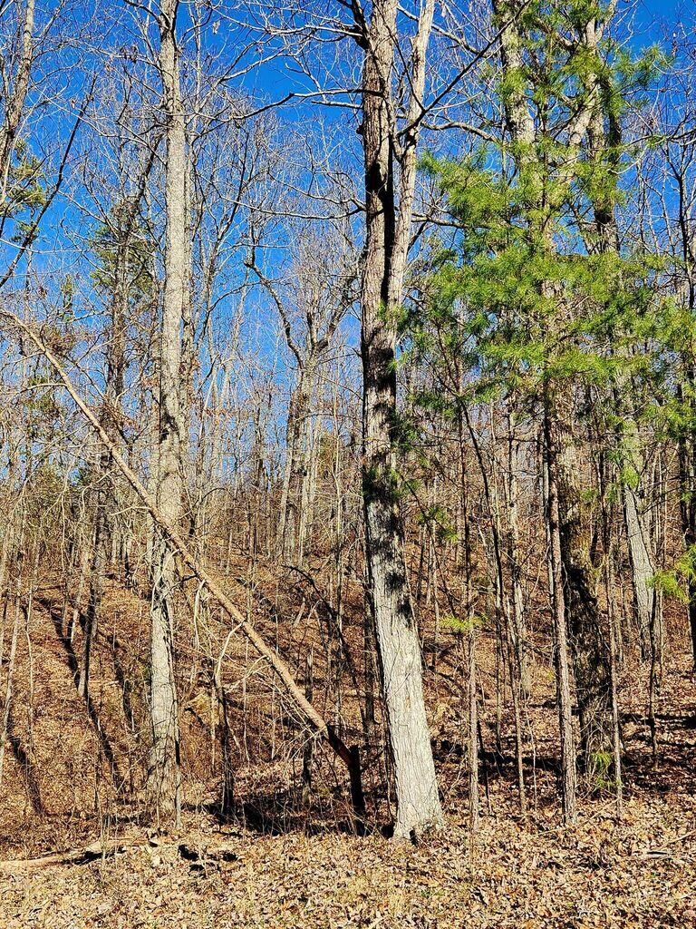 Property Photo:  0 Northwoods Lane  GA 30752 
