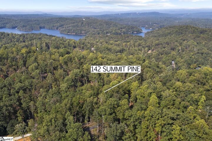 Property Photo:  142 Summit Pine  SC 29685 