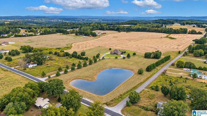 Property Photo:  2785 County Road 421  AL 35057 