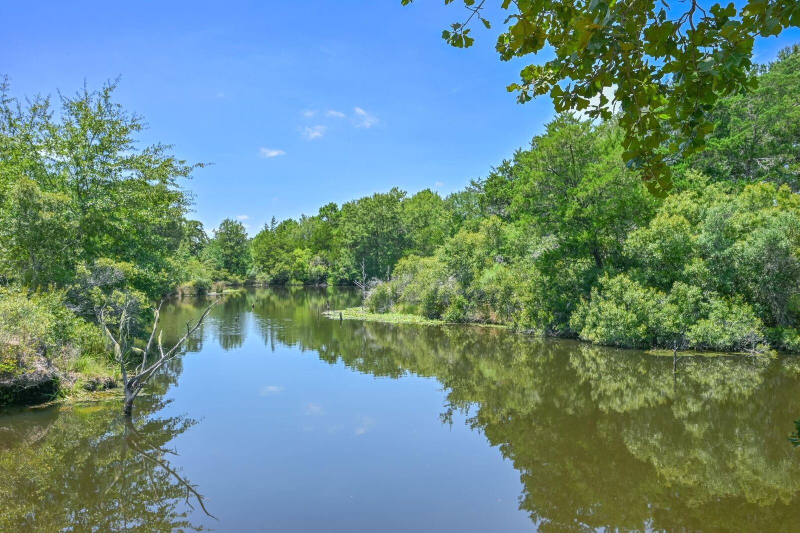 Property Photo:  7599 Muir Wood  TX 77830 