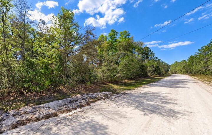 Property Photo:  NE 770th Streets  FL 32680 