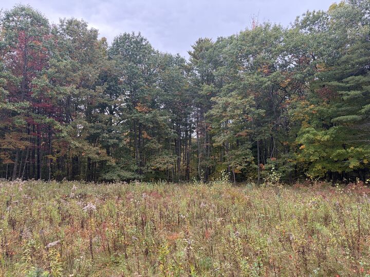 Property Photo: Lot 13-B2 S Town Farm Road ME 04270