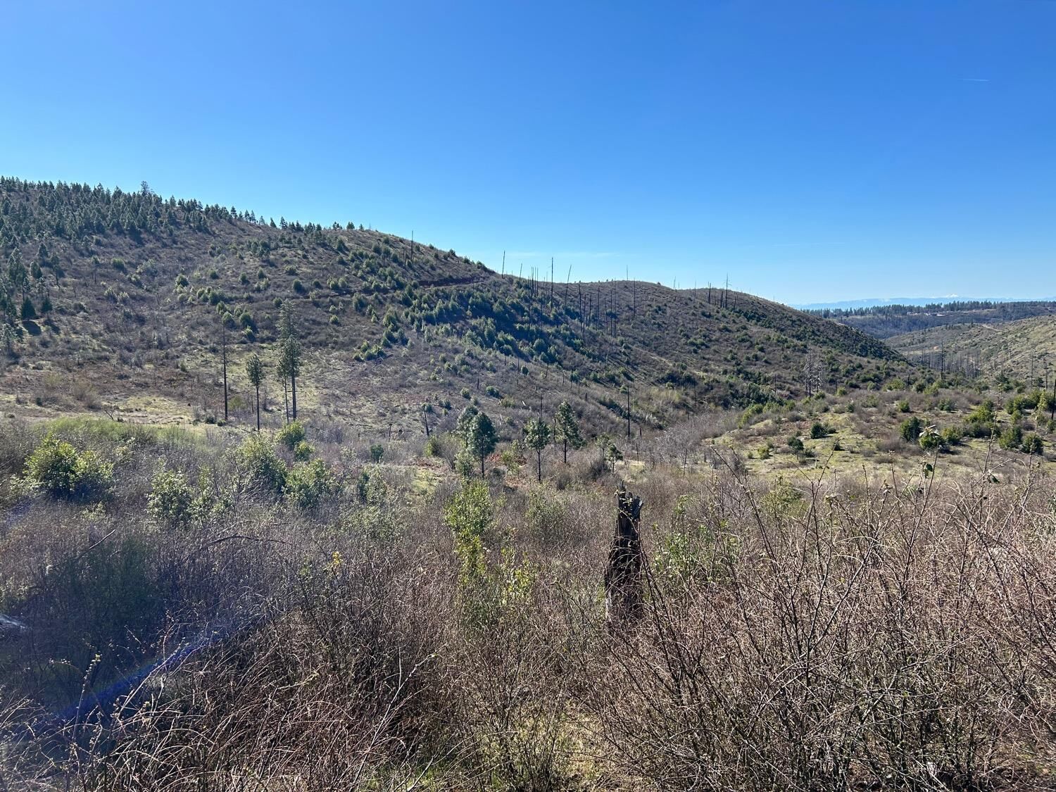 Property Photo:  1234 Hog Ranch Road  CA 95969 