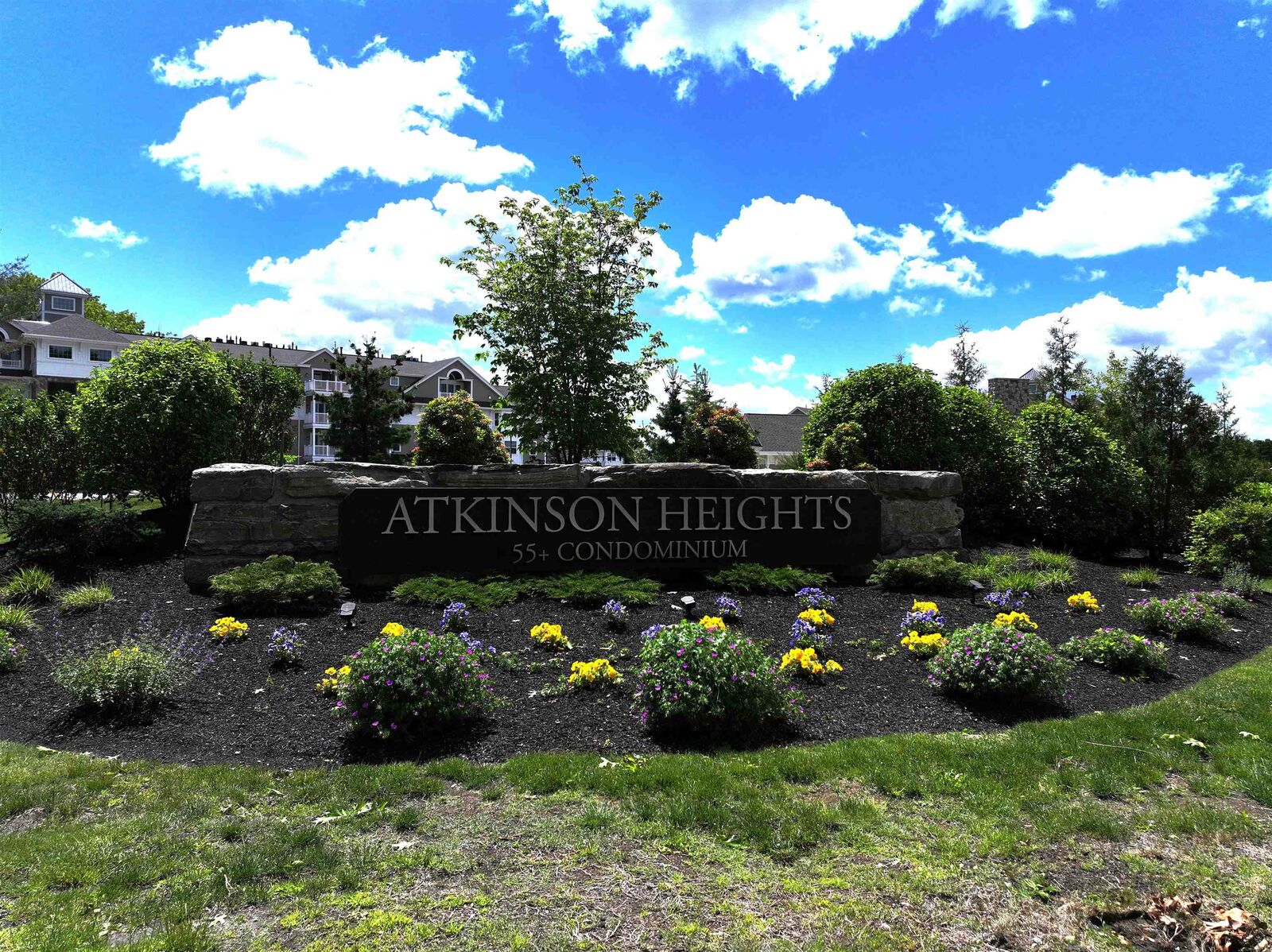 Property Photo:  4 Longview Drive  NH 03811 