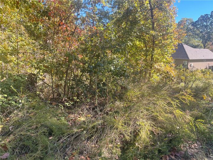 Property Photo:  Lot 19 Weedon Lane  AR 72714 