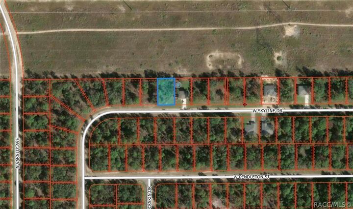Property Photo: 1853 W Skyline Drive FL 34434