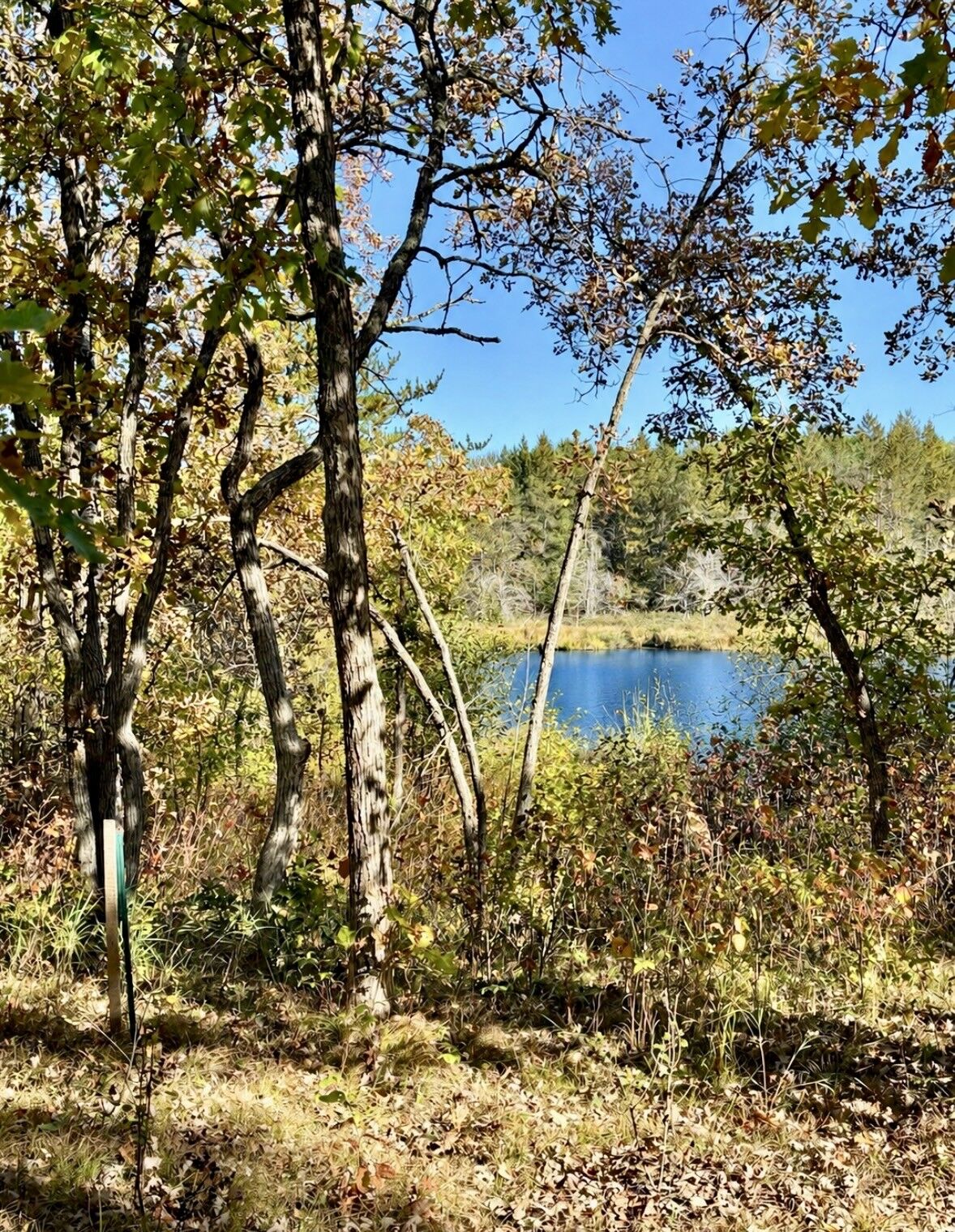 Property Photo: 9524 E Bergin Springs Road WI 54873
