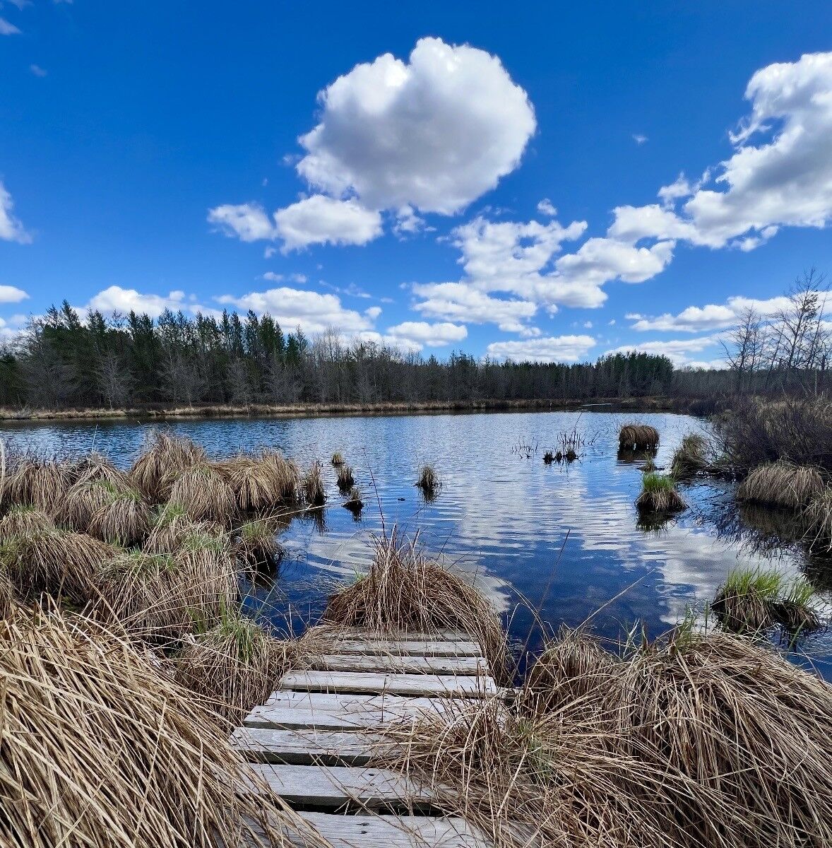 Property Photo:  9524 E Bergen Springs Road  WI 54873 