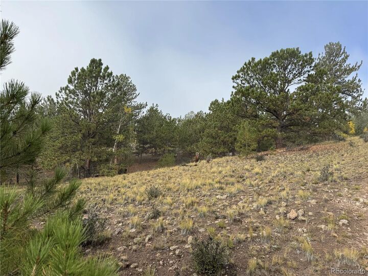 Property Photo: 155 Whip Way CO 80449