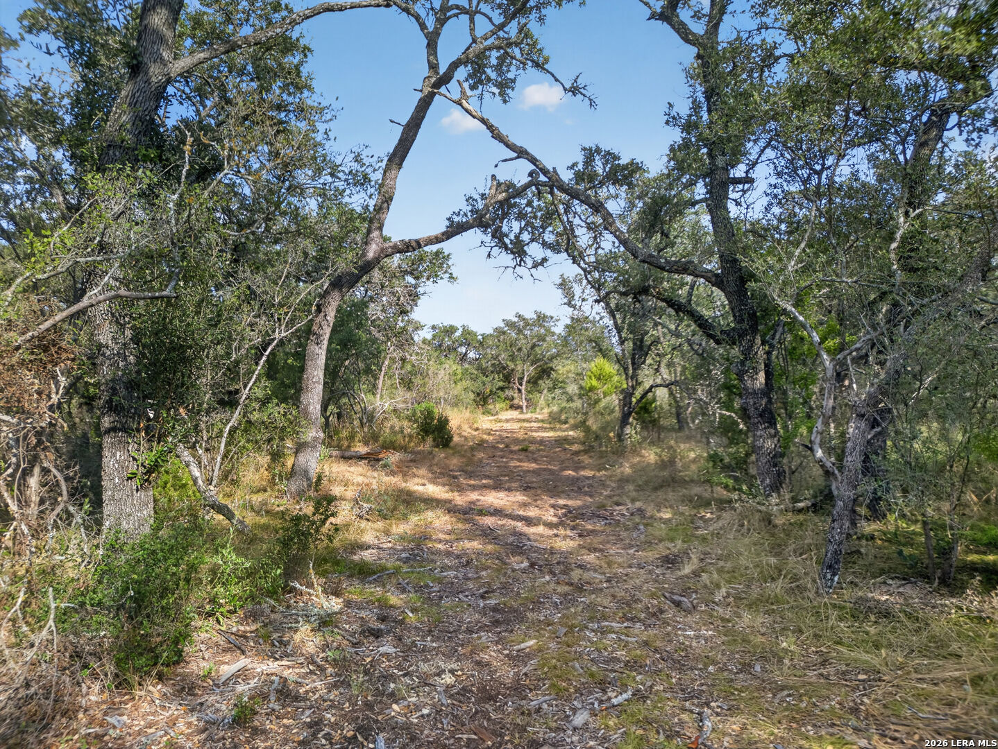 Property Photo:  Lots 19 &Amp 20 1796 Ranch  TX 78850 