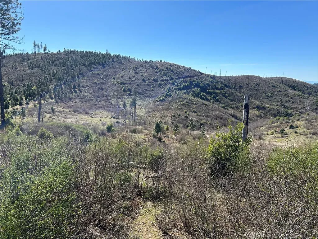 Property Photo:  1234 Hog Ranch Rd  CA 95965 