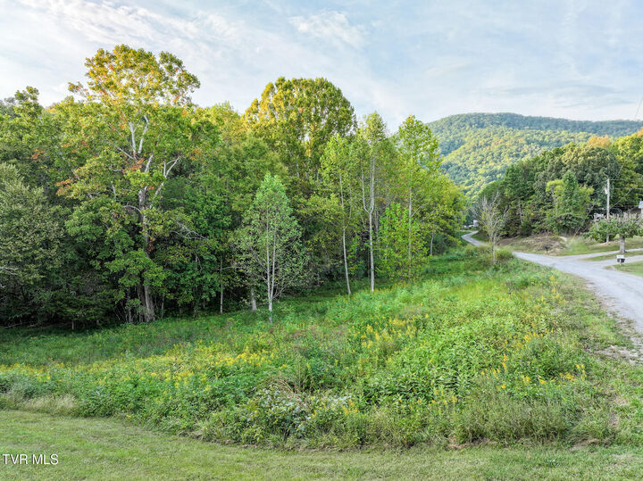 Property Photo:  19 Newton Slagle Lane  TN 37745 