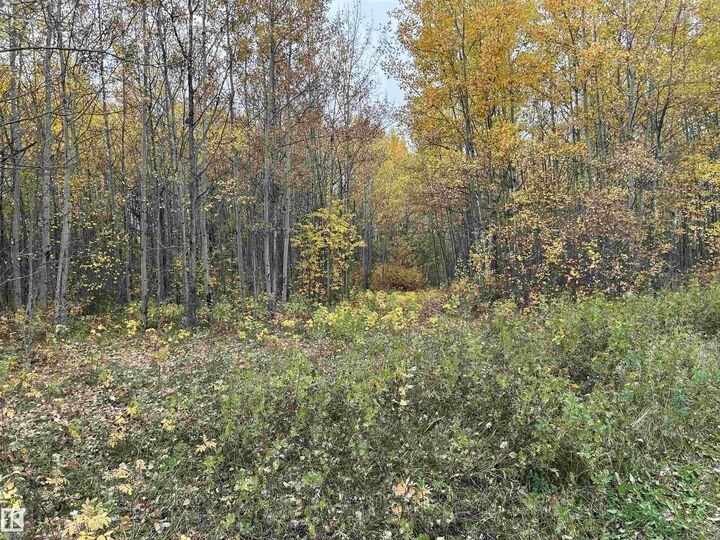Property Photo:  RR 23 Twp 564  AB T0E 1V0 