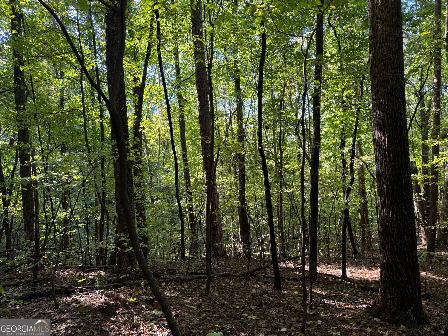 Property Photo: 0 Mountain View Court J349-350 GA 30536
