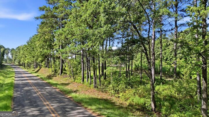 Property Photo: 150+/- Acres Giles Road GA 31029