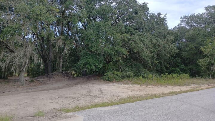Property Photo: SE Malauka Loop Run Road FL 32179