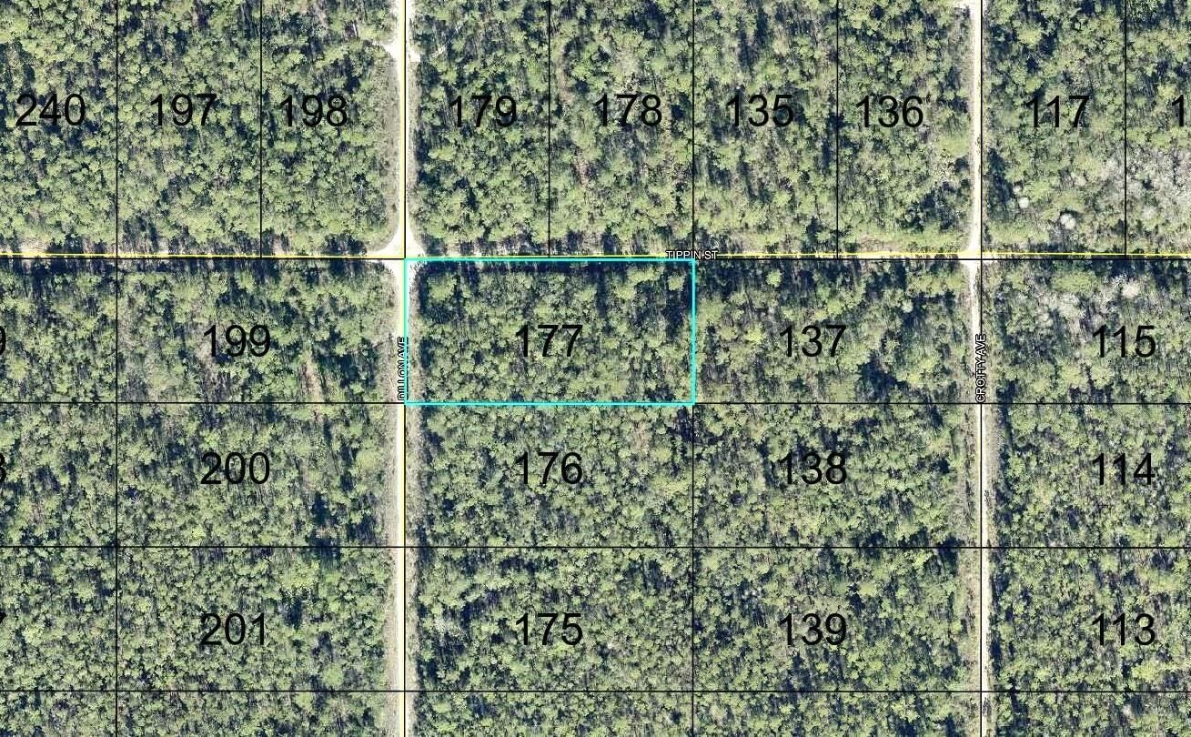 Property Photo:  177 Dillion Avenue  FL 32145 