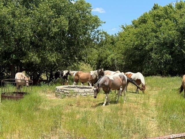 Property Photo:  0000 County Road 539 Road  TX 76457 