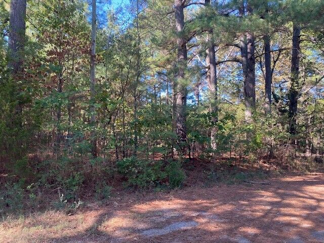 Property Photo:  16135 Willow Circle  AR 72704 