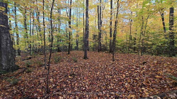 Property Photo:  Pt Lt 21 Con 5 Wolfe Lake Road  ON P0H 1Z0 