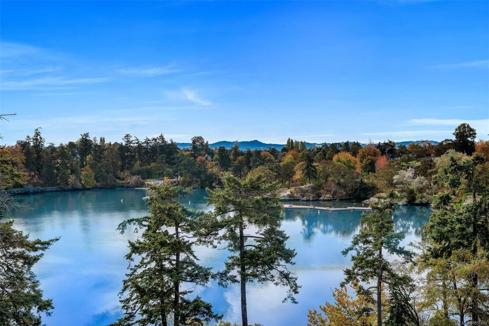 Property Photo: 105 Gorge Rd E #403 BC V9A 1L1