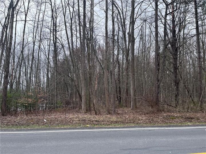 Property Photo:  0 Packwood Road  NY 13165 