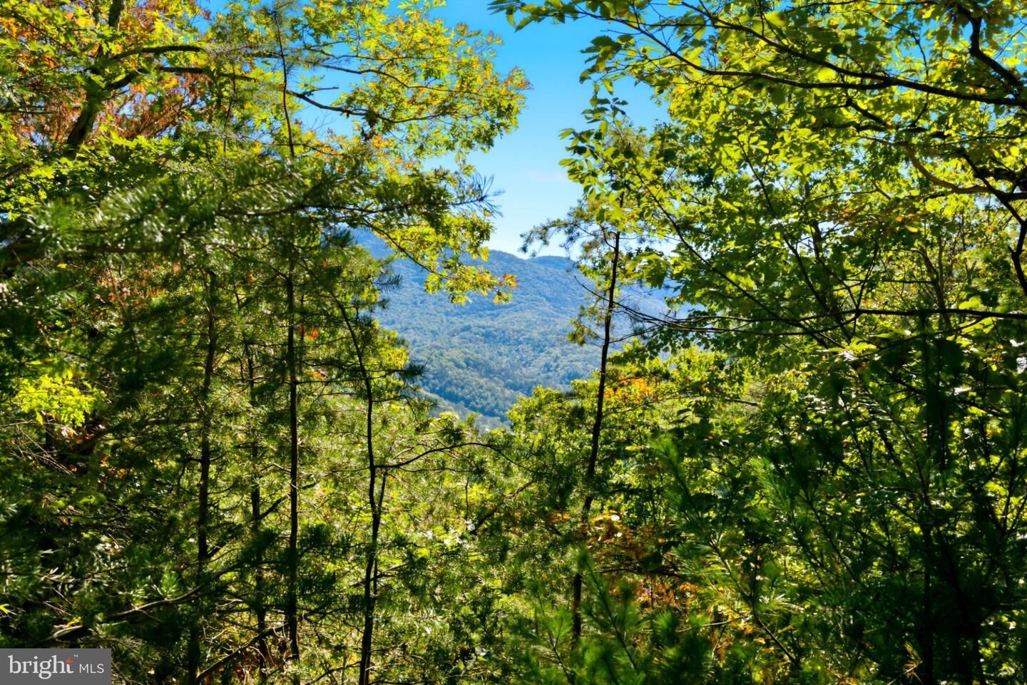 Property Photo:  195 Hinkle Mt Road  WV 26836 