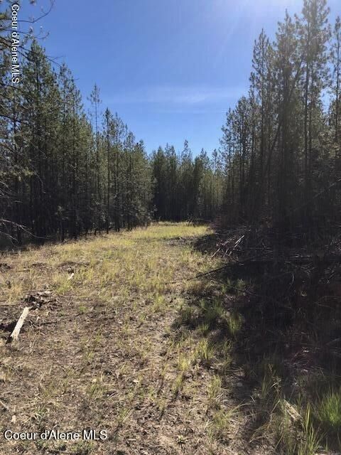 Property Photo: Nka Flintlock Way ID 83804