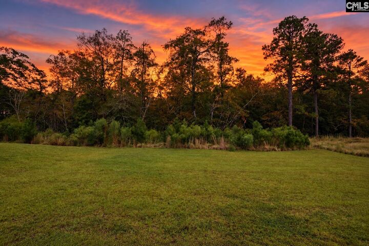 Property Photo:  410 Pepperbush  SC 29072 