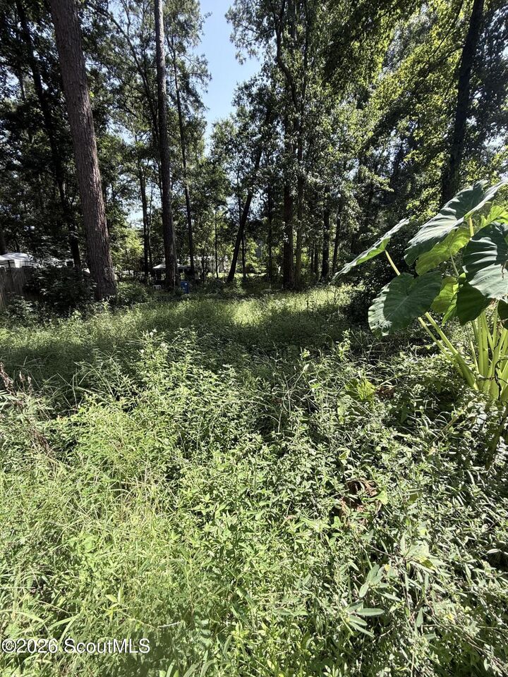 Property Photo:  409 Dogwood Lane  GA 31320 