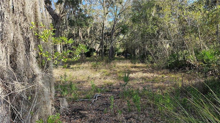 Property Photo: 304 Burford Road GA 31523
