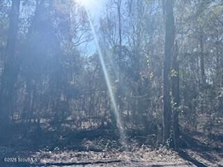 Property Photo: 138-140 Dogwood Lane GA 31320