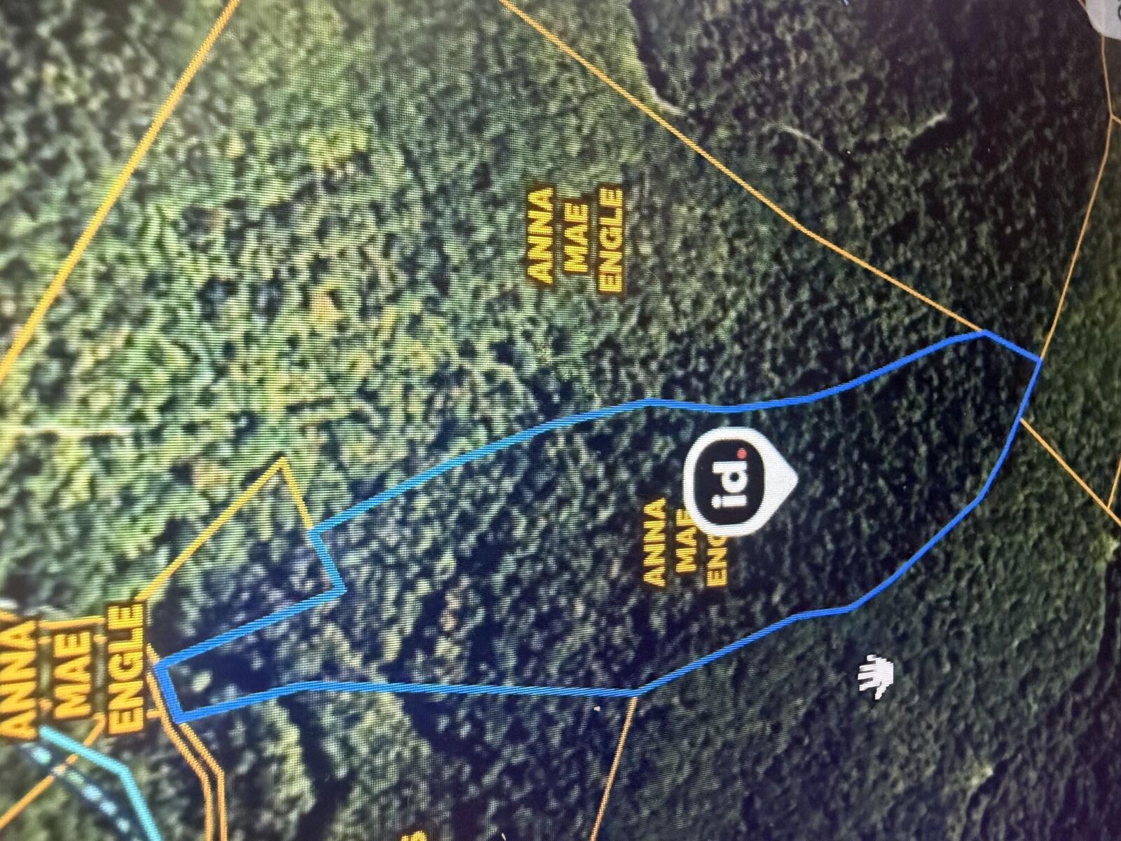 Property Photo:  72.87 Acres/ 24 Acres Peter Branch Of Wolf Creek  KY 41749 