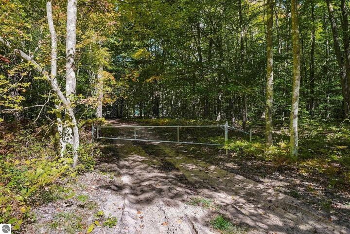 Property Photo:  11096 Dirt Road  MI 49668 