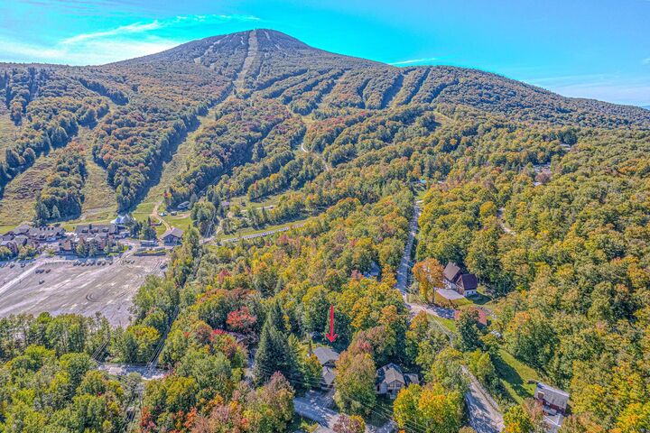 Property Photo:  219 Alpine Drive  VT 05751 