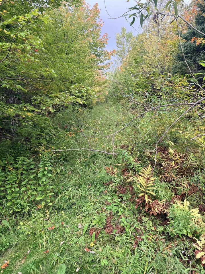 Property Photo:  Highway 105  NS B0E 1B0 