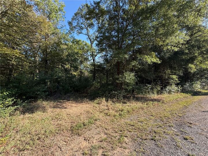 Property Photo:  Tbd Deerwood Lane Lane  AR 72834 
