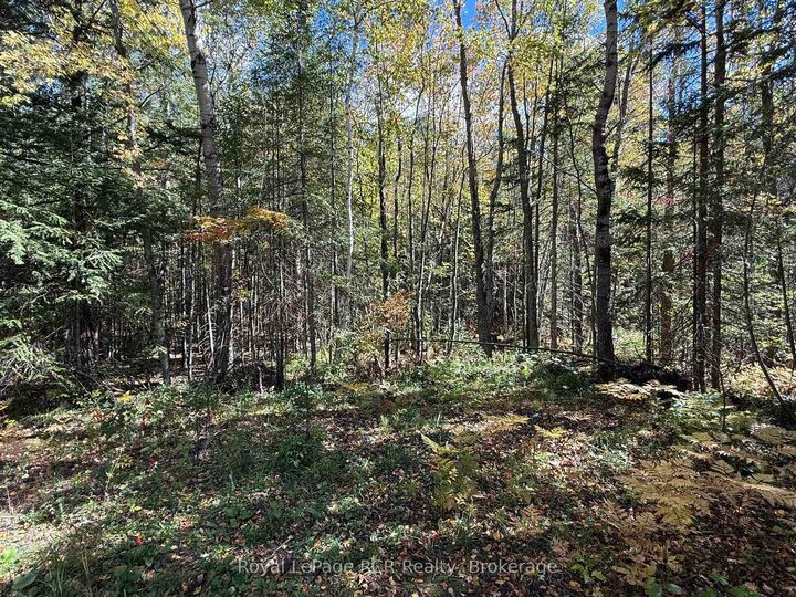 Property Photo:  Pt Lt 1-2 Concession 3 N/A  ON N4K 5N6 