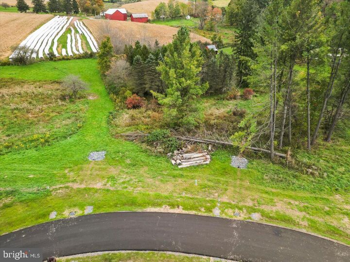 Property Photo:  Lot 6 Flat Street  MD 21520 