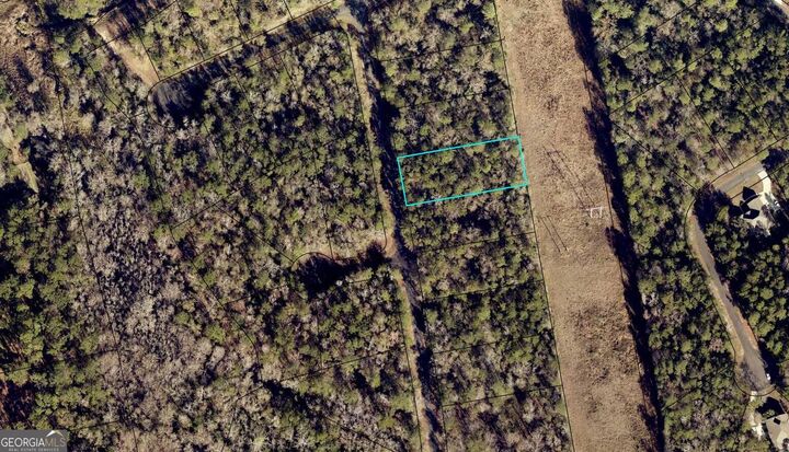 Property Photo: 131 Settlers Trail GA 31569