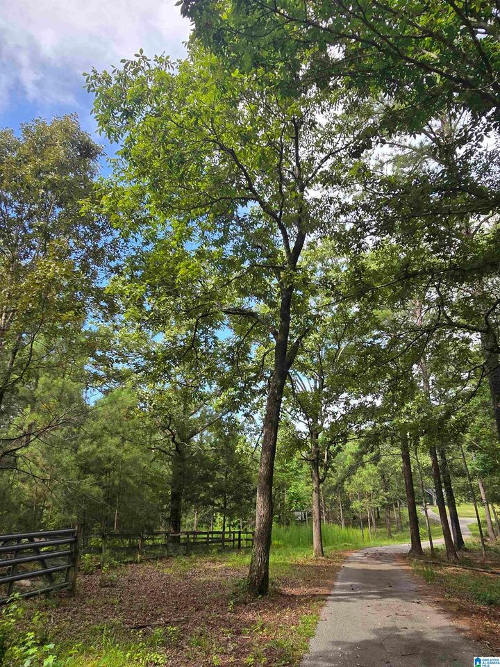 Property Photo: 0 County Road 73 1 AL 35115