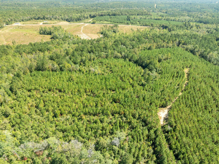 Property Photo:  Parcel B Beat 4 Shubuta  MS 39360 