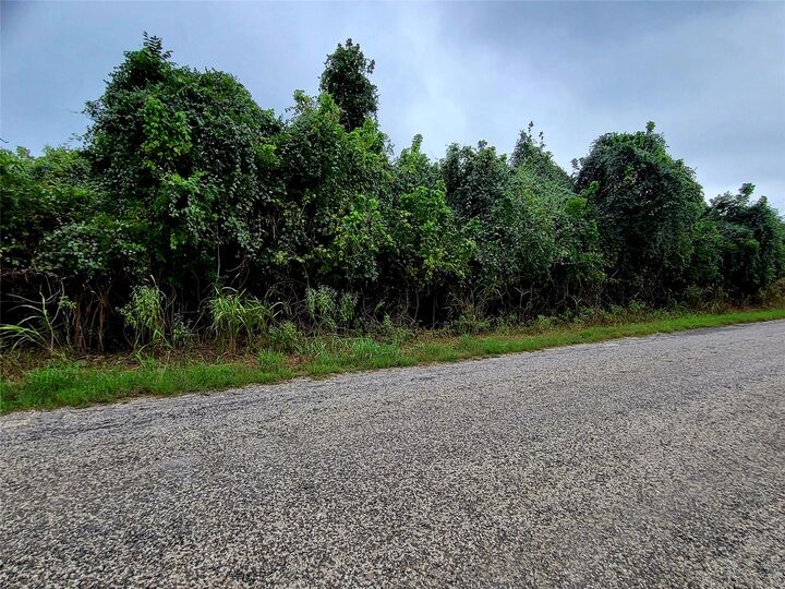 Property Photo:  446 Riverside Drive  TX 78602 
