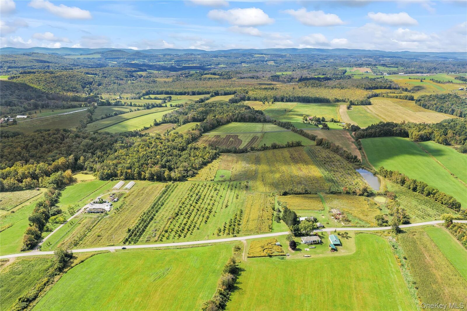 Property Photo:  359 Cemetery Rd  NY 12031 