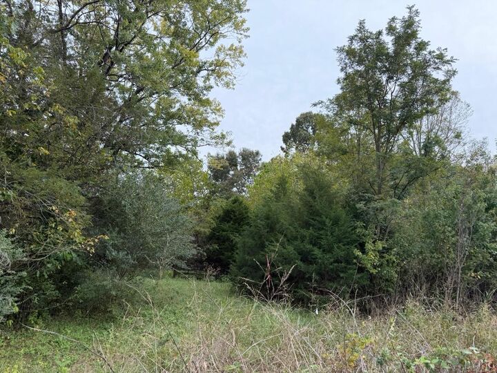 Property Photo:  0 Moneta Road  VA 24121 