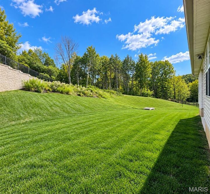 Property Photo:  3135 White Pine Drive  MO 63052 
