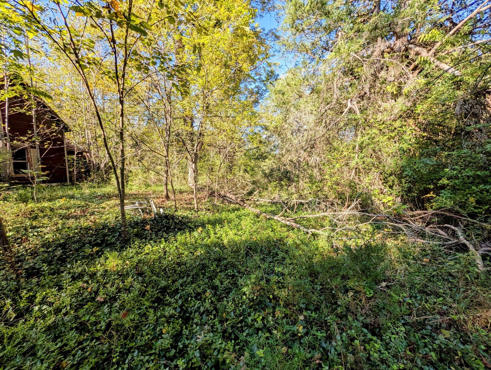 Property Photo: 378 Ladd Springs Rd SE TN 37323